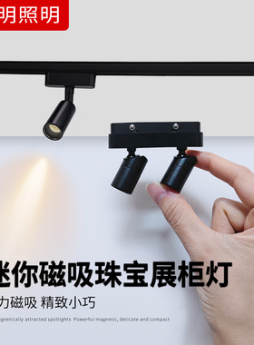 迷你磁吸轨道灯led小射灯mini博物馆首饰珠宝灯展柜灯24v低压微型