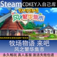 CDK永入库全dlc 农场物语来吧风之繁华集市全球区激活码 STEAM