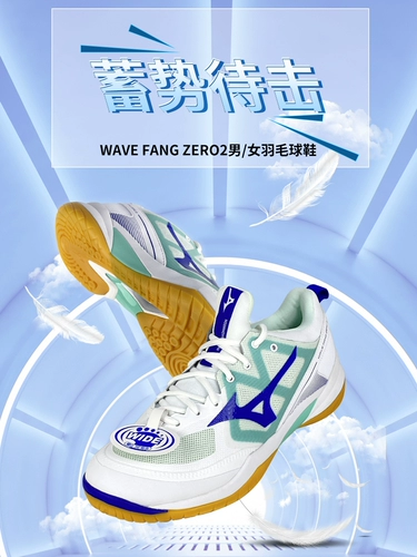 Mizuno Meto Profession