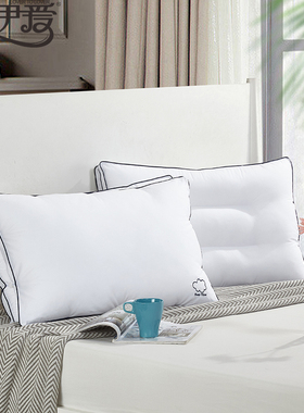 伊伊爱ZX-8YSR-01 羽丝绒双胎枕芯单人枕芯白色48*74cm DL