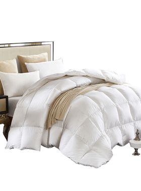 伊伊爱BZ-8YRB-004 5星酒店全棉贡缎鹅绒被50含绒白色200*230cmDL