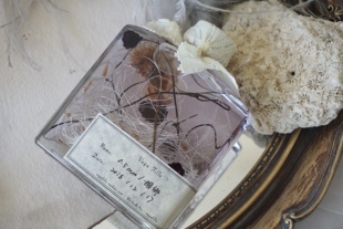 Vaga Fille 0.5mm系列植物干花标本浮游瓶圣诞节送礼伴手礼品