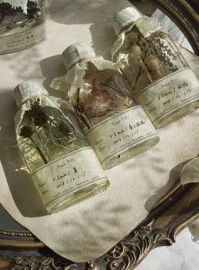 Vagafille0.5mm系列植物干花标本浮游瓶节日送礼伴手礼品友情生日