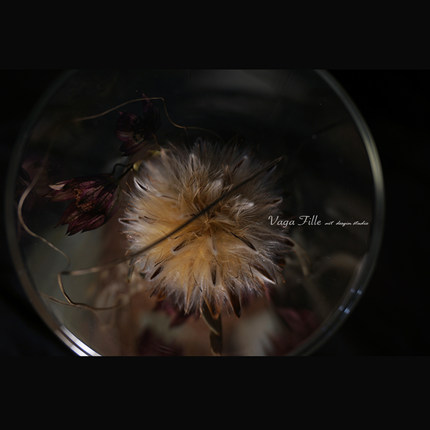 vagafille定制永生花永恒花干燥花之岛屿|islands