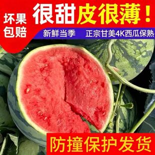 正宗站神甘美4K西瓜9斤脆甜多汁无籽薄皮肉厚新鲜时令水顺丰速运