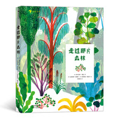 立体书 故事绘本浪花朵朵童书 走过那片森林 童书 纸雕绘本 儿童课外阅读书目 12岁以上 现货 后浪正版