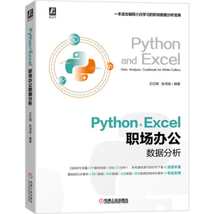 Python+Excel职场办公数据分析 王红明 张鸿斌 职场办公 数据分析 Python Excel 49个案例+330分钟视频讲解官方正版 博库网