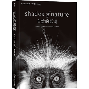 后浪正版 自然的影调 范登伯格 非洲草原动物自然风光摄影集艺术画册书籍 黑白摄影作品集 自然的艺术