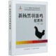 官方正版 中国特色畜禽遗传资源保护与利用丛书 博库网 精 新杨黑羽蛋鸡配套系