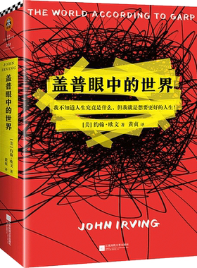 盖普眼中的世界官方正版 博库网