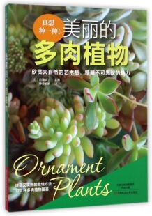 真想种一种美丽的多肉植物 官方正版 博库网