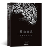 神圣自然 8开 生命 后浪正版 永恒之舞 精装 非洲动物摄影艺术图册集 特种纸张雅昌承印自然爱好者画展摄影大书籍