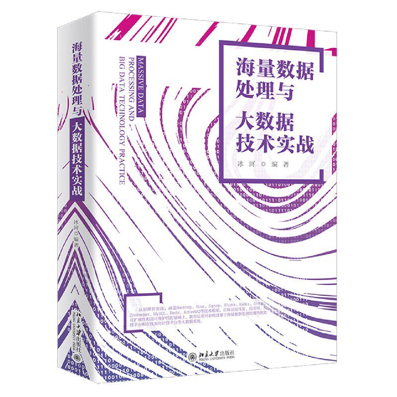 海量数据处理与大数据技术实战官方正版 博库网