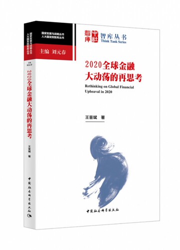 2020全球金融大动荡的再思考/人大国发院智库丛书/国家发展与战略丛书官方正版 博库网