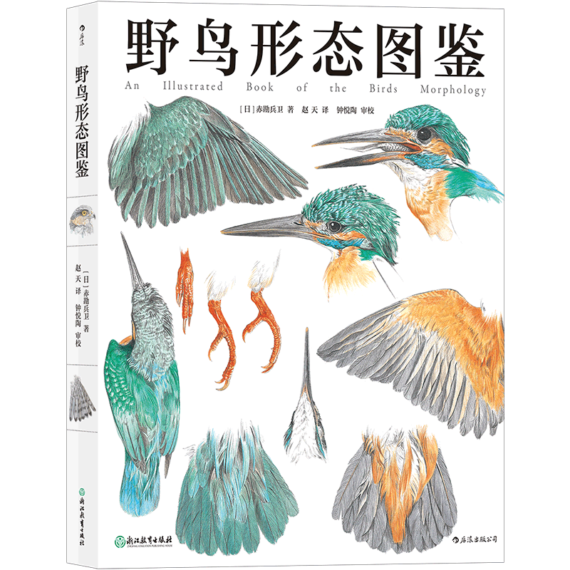 后浪正版 野鸟形态图鉴 精装版 手绘鸟类图鉴野生动物自然观察博物学生物科普书籍 纸上鸟类博物馆