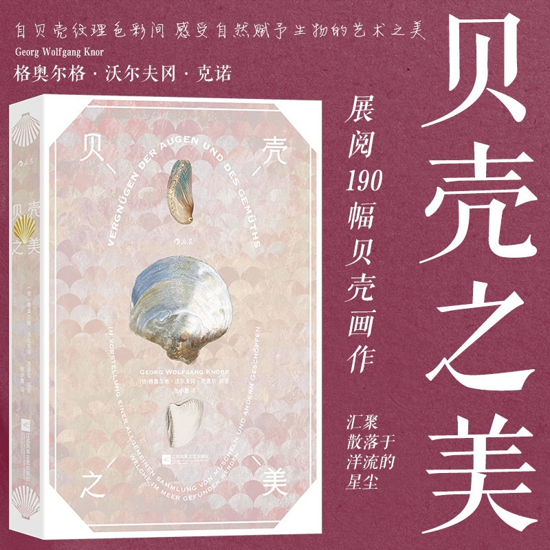 18世纪的贝壳自然画作