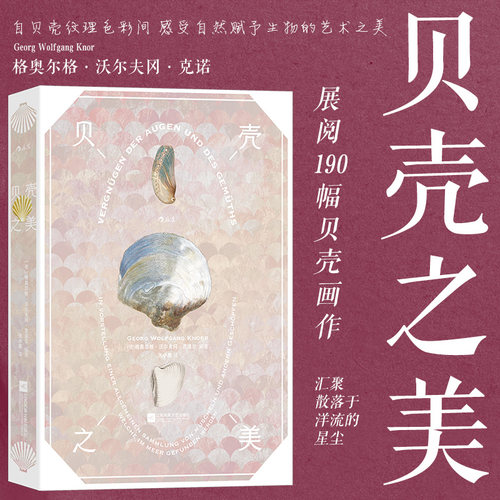 18世纪的贝壳自然画作