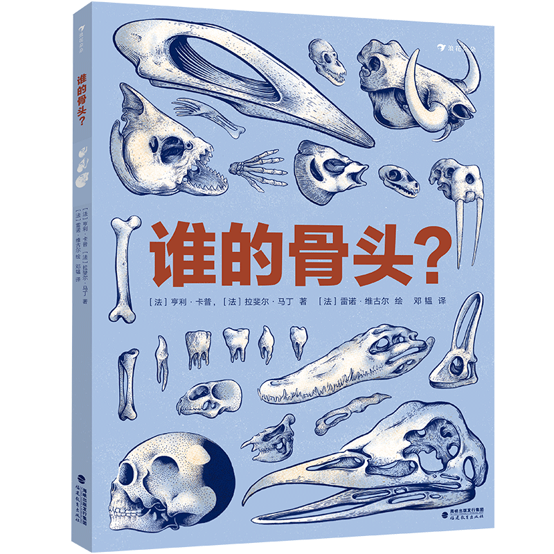 后浪正版 谁的骨头 纪录片风格25组逆向思维翻翻页恐龙大猩猩人体骨骼解剖儿童启蒙科普百科读物书籍