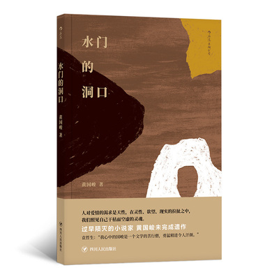 后浪正版 水门的洞口 黄国峻 台湾文学华语文学黄国峻长篇小说书