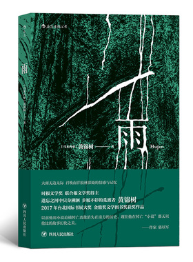 后浪正版包邮 雨 黄锦树 金鼎奖文学图书奖获奖作品 短篇小说 作品集 现代文学 马华文学 但是还有书籍朱岳推荐