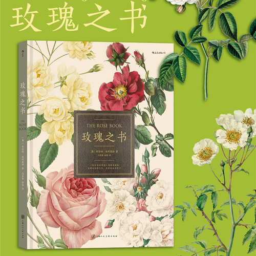 玫瑰之书大幅插画蔷薇科植物科普
