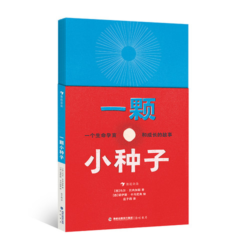 后浪正版 一颗小种子 风琴折页植物科普 3-6岁儿童成长诗意绘本 后浪童书