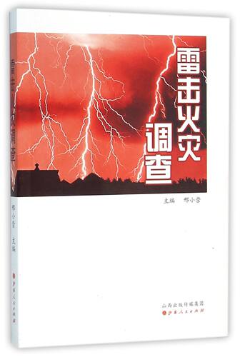 雷击火灾调查 官方正版 博库网