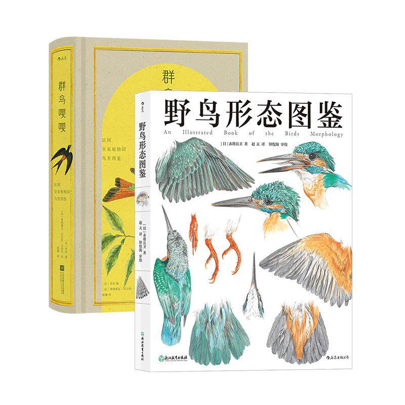 后浪正版现货 野鸟形态图鉴+群鸟嘤嘤 2册套装 鸟类图鉴动物自然观察博物学生物科普书籍