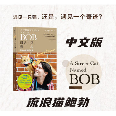 后浪正版 遇见一只猫 与Bob相伴的日子 流浪猫鲍勃 中文版 詹姆斯波文 伦敦街猫记 当Bob来敲门 人生成长暖心励志读物