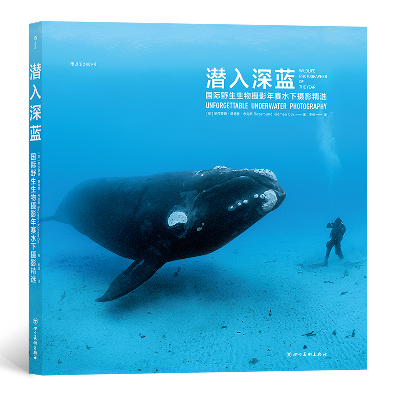 潜入深蓝：国际野生生物摄影年赛水下摄影精选 六十余幅野生生物摄影年赛水下摄影精选作品 认识水下生态 海洋摄影集 后浪正版