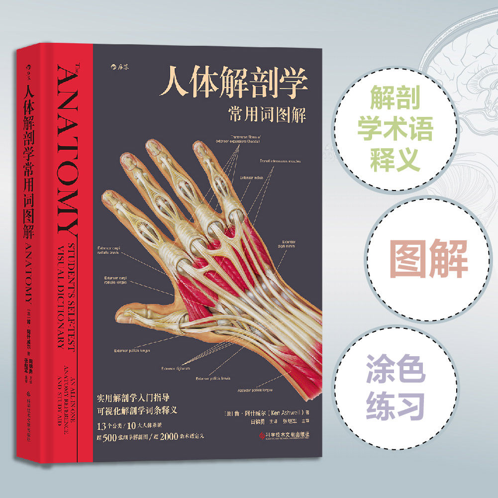 人体解剖基础医学术语图解