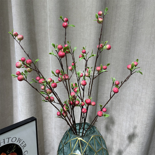 仿真小苹果 假水果家居摆放福桶网红小浆果红果拍摄道具餐桌果实