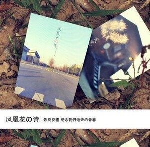 [kakaka] 凤凰花の诗 纪念我们逝去的青春 毕业礼物 明信片 8枚