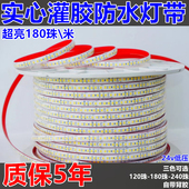 室外防水灯带led超亮防水全光谱池庭院门头线型灯带24v180珠双排
