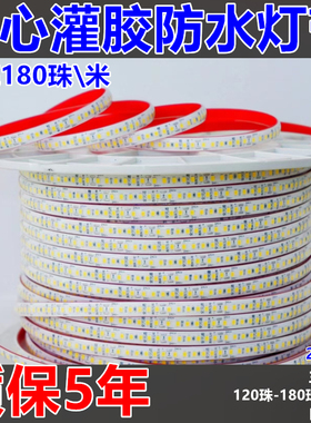 室外防水灯带led超亮防水全光谱池庭院门头线型灯带24v180珠双排