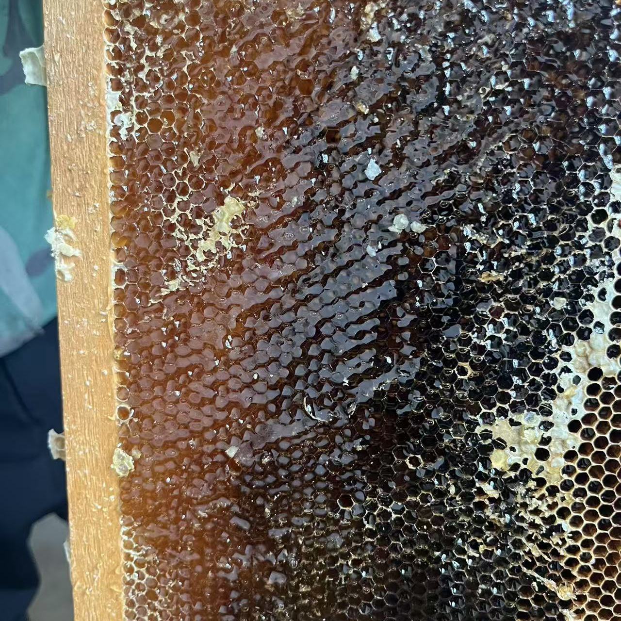 油菜花树莓花板栗花枣花还有山上各种野花蜜