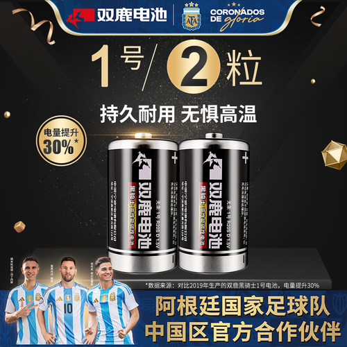 双鹿干电池大号r20煤气炉液化灶