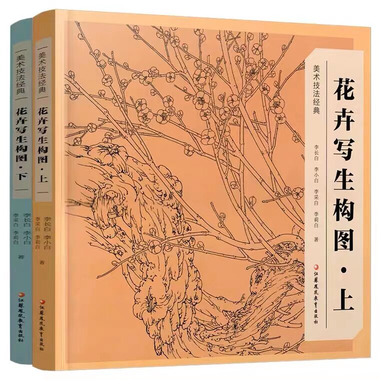 花卉写生构图上下2本套装