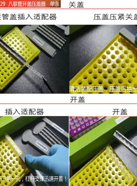 离心管开盖器插枪头神器半自动装移液八联管压盖器连生物实验冰盒