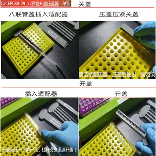 离心管开盖器插枪头神器半自动装移液八联管压盖器连生物实验冰盒