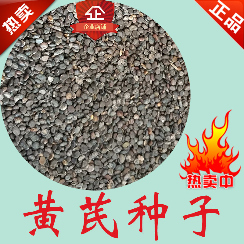 黄芪种子 绵黄芪种子 多年生草本植物 耐寒 颗粒饱满 散装