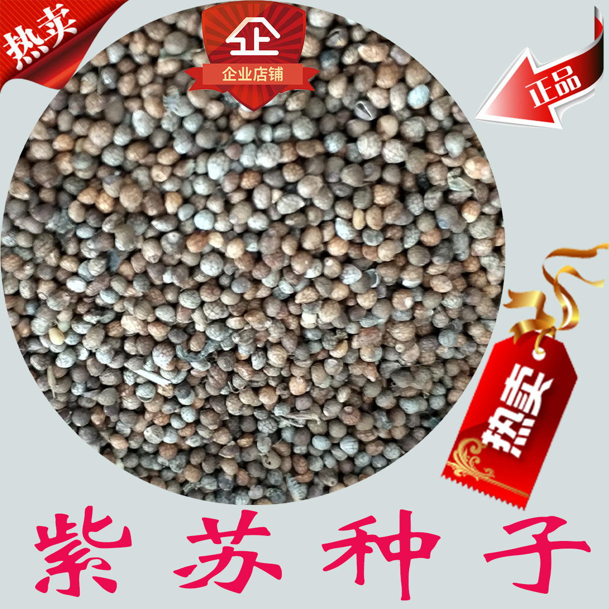 优质紫苏种子 紫苏籽 油苏 白苏种子 青苏种子 苏麻种子 菜苏种子