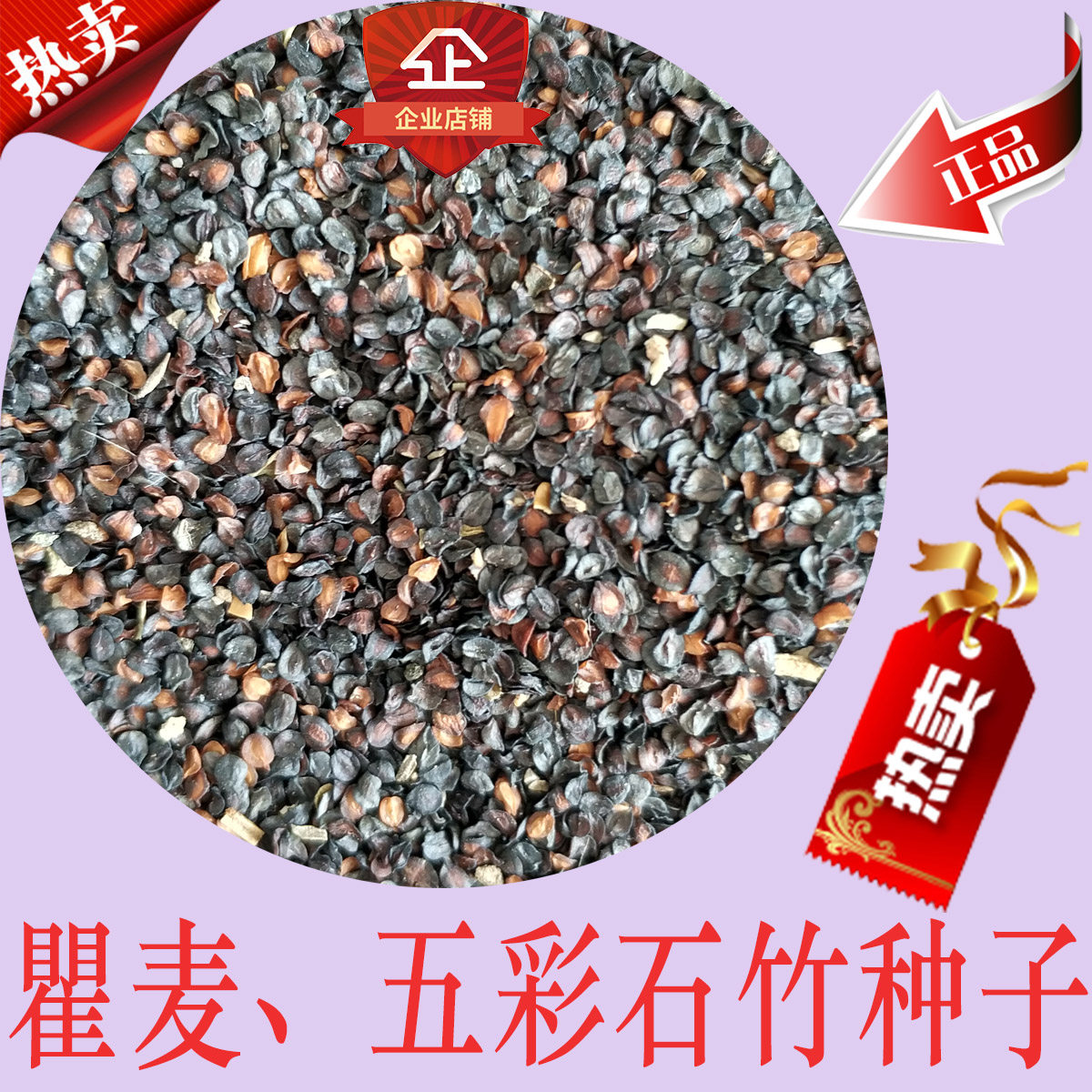 瞿麦种子 优质 须苞石竹 十样锦 美国石竹 五彩石竹 石柱花 花卉