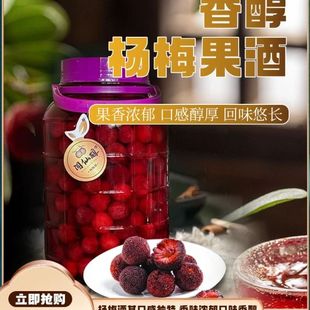 正宗浙江仙居杨梅酒23纯粮酒浸泡杨梅酒10斤装果酿酒梅子果酒