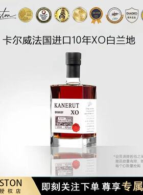 派斯顿潮流小方瓶xo白兰地三号白兰地法国进口水果甜味微醺洋酒品