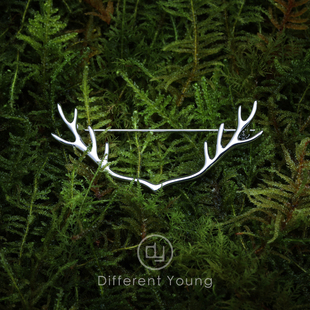 DY鹿角s925银男士设计师胸针高档西装别针女简约百搭气质生日礼物