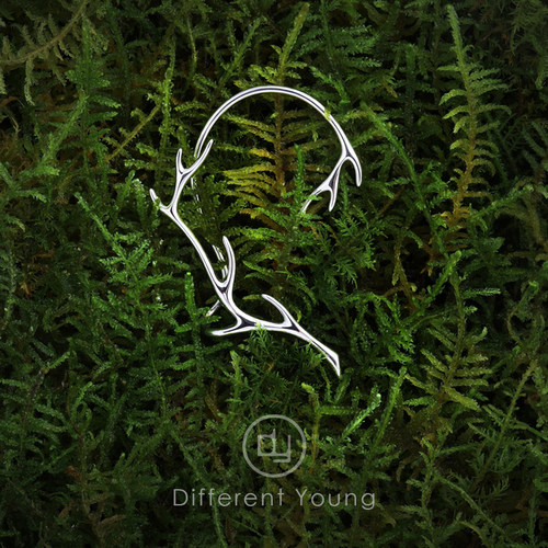 高级感森系耳夹DifferentYoung