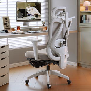 人体工学椅撑腰椅家用电竞椅子久坐舒服电脑椅靠背办公椅学习座椅