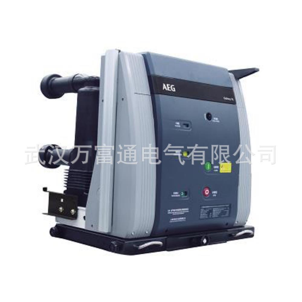 VL-17.5E/2500-31.5W 真空断路器