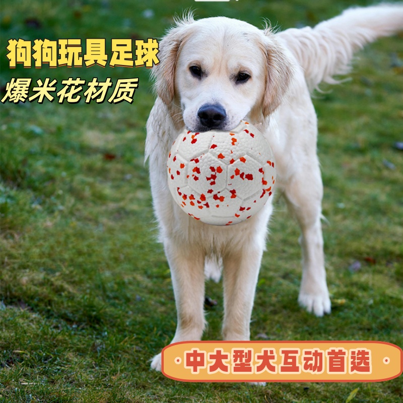 Squeaker耐磨户外训练解闷足球